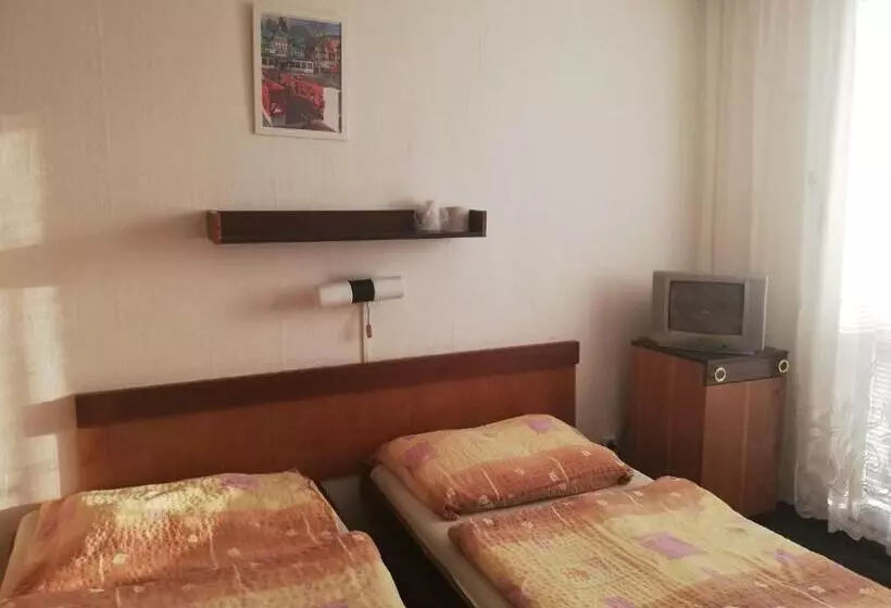 اتاق استاندارد با سرویس بهداشتی مشترک, Abc Hotel Nitra