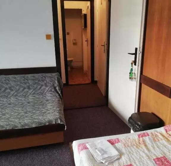 اتاق استاندارد سه تخته با سرویس بهداشتی مشترک, Abc Hotel Nitra