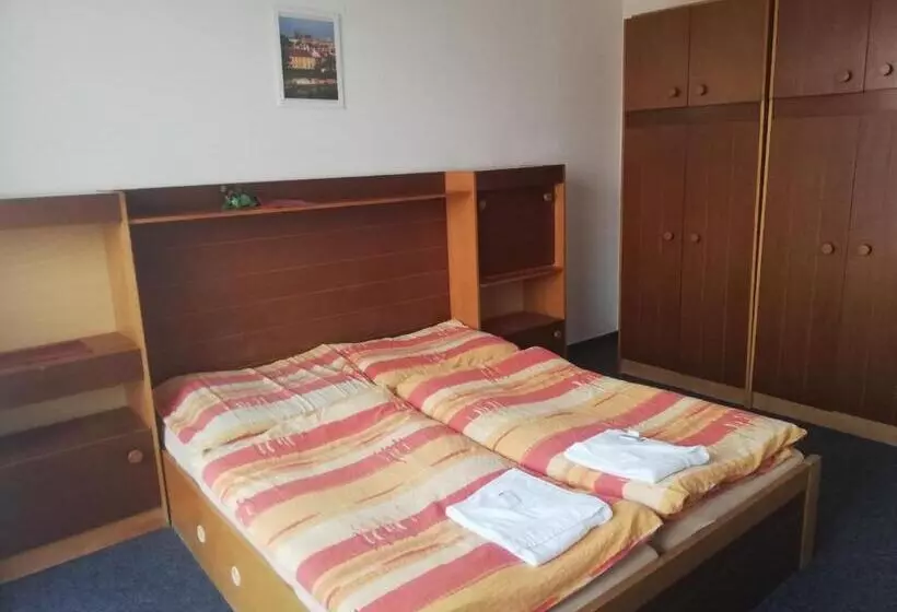 اتاق استاندارد با سرویس بهداشتی مشترک, Abc Hotel Nitra