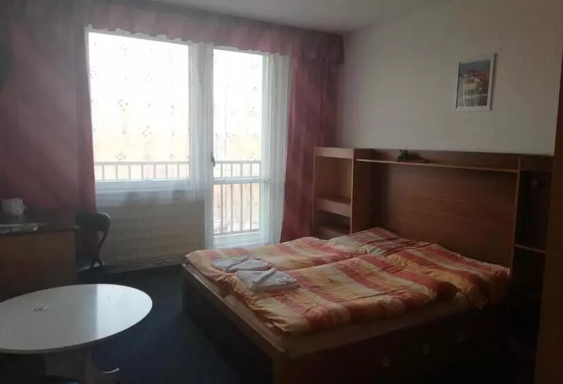 اتاق استاندارد با سرویس بهداشتی مشترک, Abc Hotel Nitra
