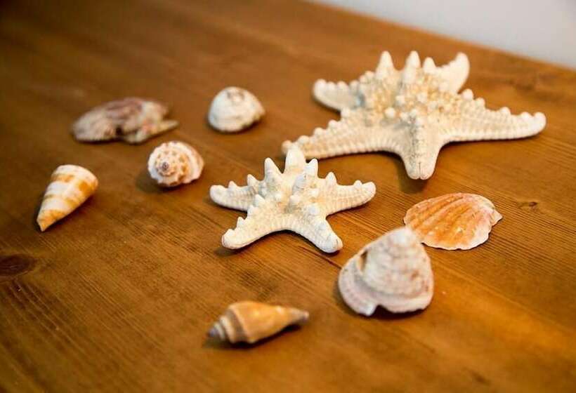 Номер Стандарт, B&b Kolors