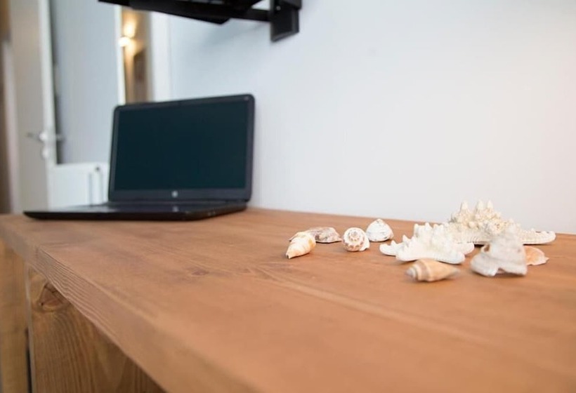 Номер Стандарт, B&b Kolors