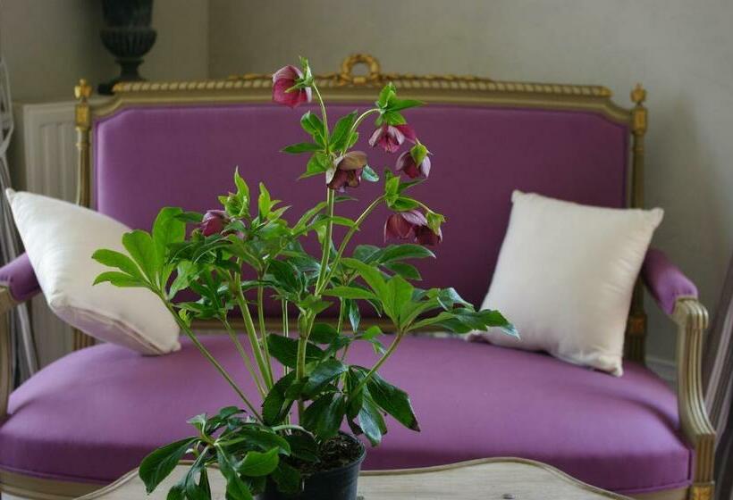 豪华房间带漩涡浴缸, Chateau De Pommeuse