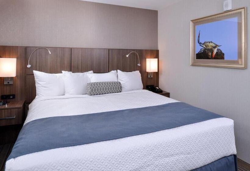 غرفة قياسية سرير كينج, Anchored Inn At Hidden Harbor