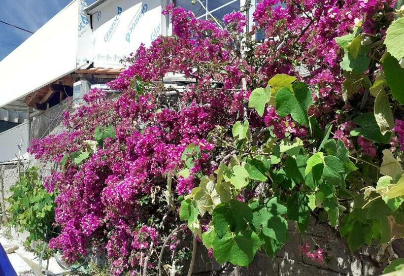 חדר משפחתי, Casa Del Mare