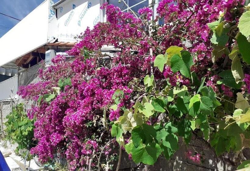 סטודיו סטנדרטי נוף לים, Casa Del Mare