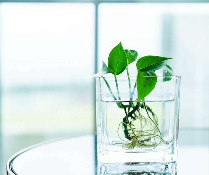 Casa 1 Dormitori, Amber Resort Jeju