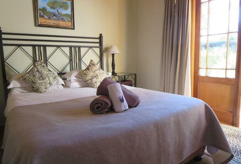 חדר סטנדרט נוף לגינה, Villa Reinet Guest House