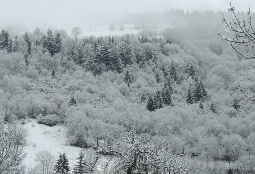 스탠다드 룸, Restaurant Du Plomb Du Cantal