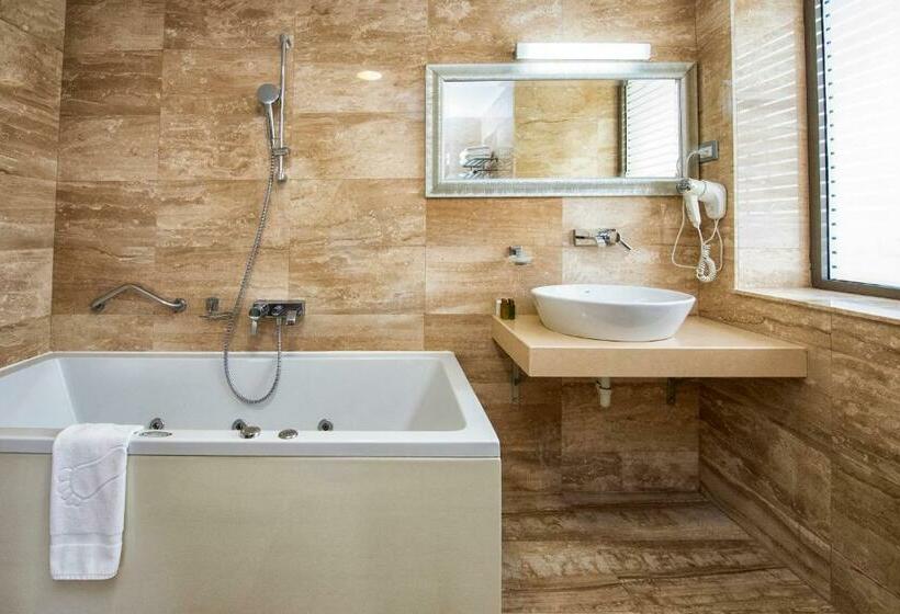 Апартаменты Superior 1 Спальня, Roman By Dumbrava Business Resort