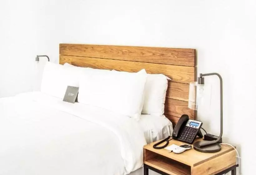 身障者適用キングサイズベッドルーム, The Meridian Hotel Miami Beach