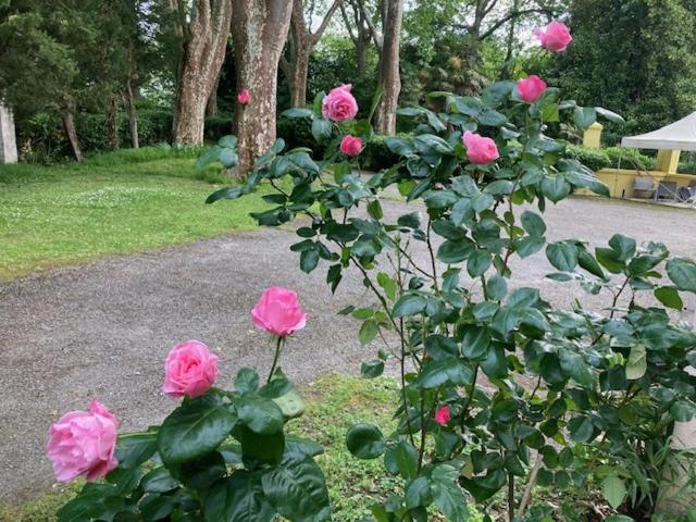 غرفة قياسية, Château De La Prade