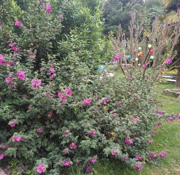 شقة غرفة واحدة مطلة على حمام السباحة, Château De La Prade