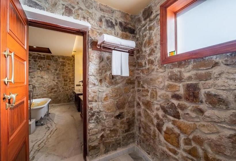 테라스 스위트, Juna Mahal Jungle Resort Ranthambore