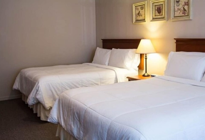 Standardzimmer 2 Doppelbetten, The Sonata Inn