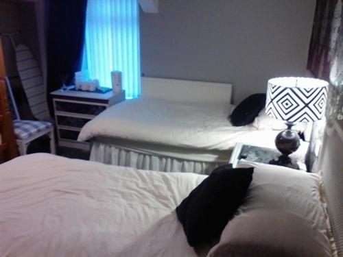 4인용 스탠다드 룸, Holland