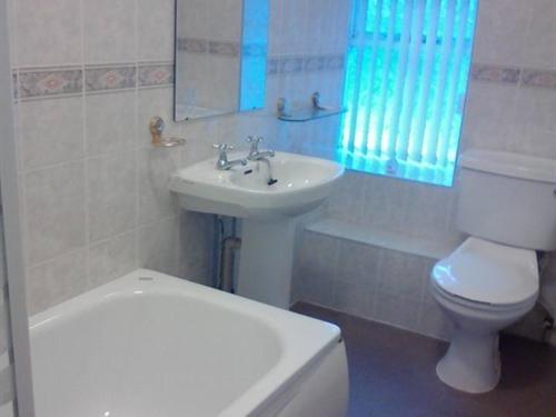 4인용 스탠다드 룸, Holland