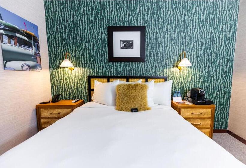 غرفة أساسية, Daddy O