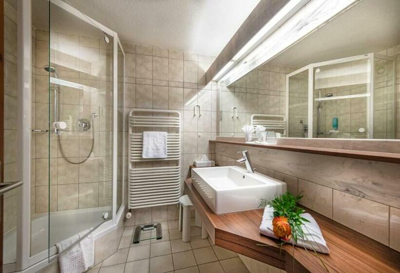 חדר סטנדרט יחיד עם מרפסת, Dein Engel