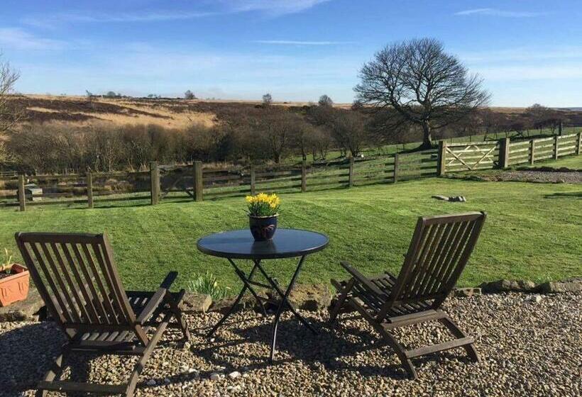 غرفة قياسية سرير كينج, Folly Hall Farm