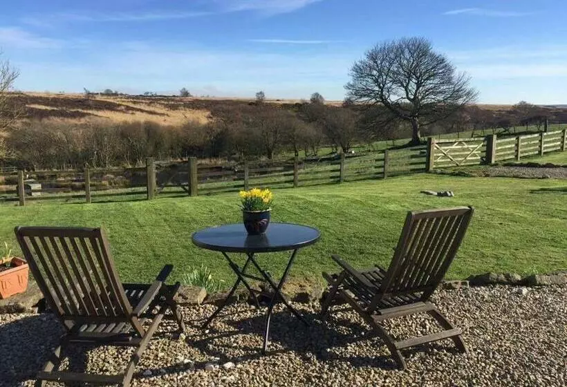 اتاق استاندارد با تخت بزرگ, Folly Hall Farm