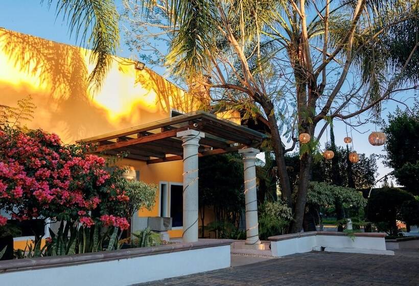 スタンダードトリプルルーム, Hacienda Montesinos