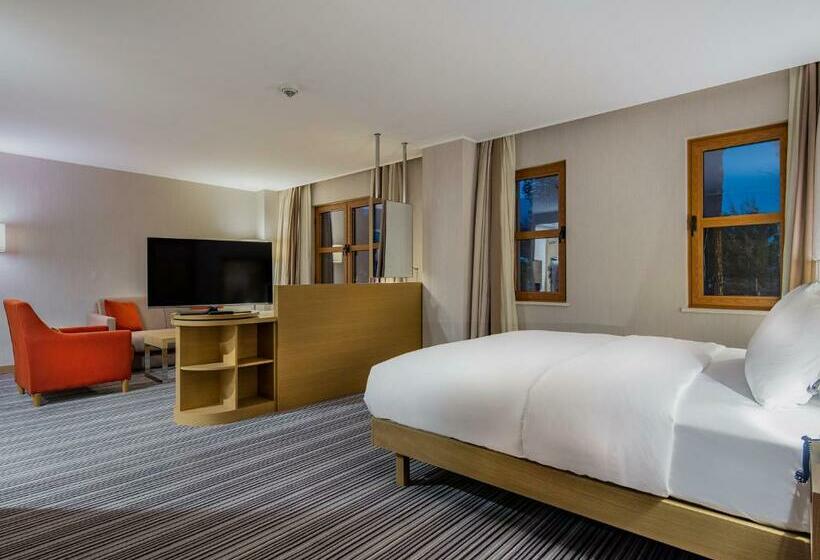 غرفة قياسية سرير كينج لذوى الإحتياجات الخاصة, Hilton Garden Inn Safranbolu