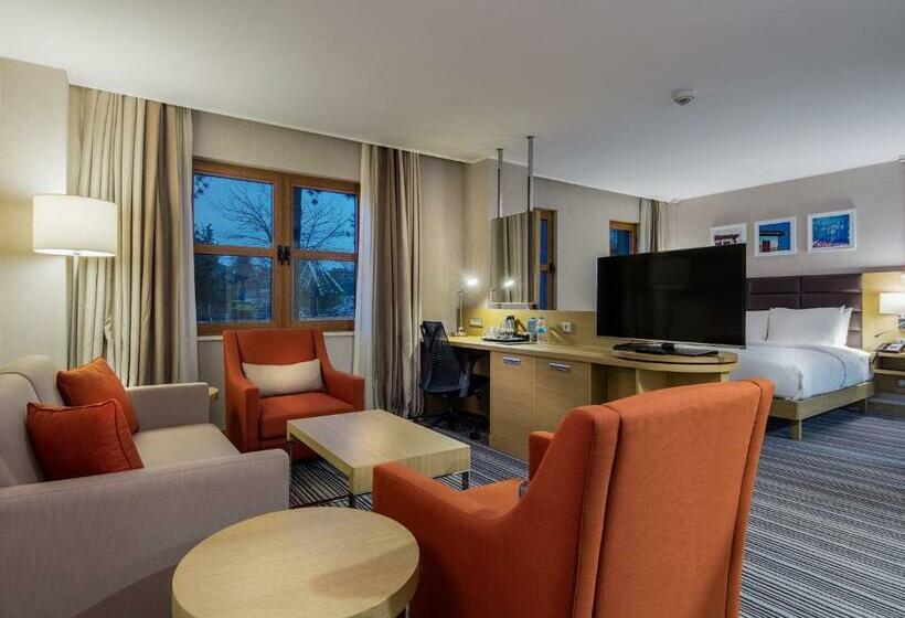 Номер Стандарт Кровать Кинг Адаптированный для Инвалидов, Hilton Garden Inn Safranbolu