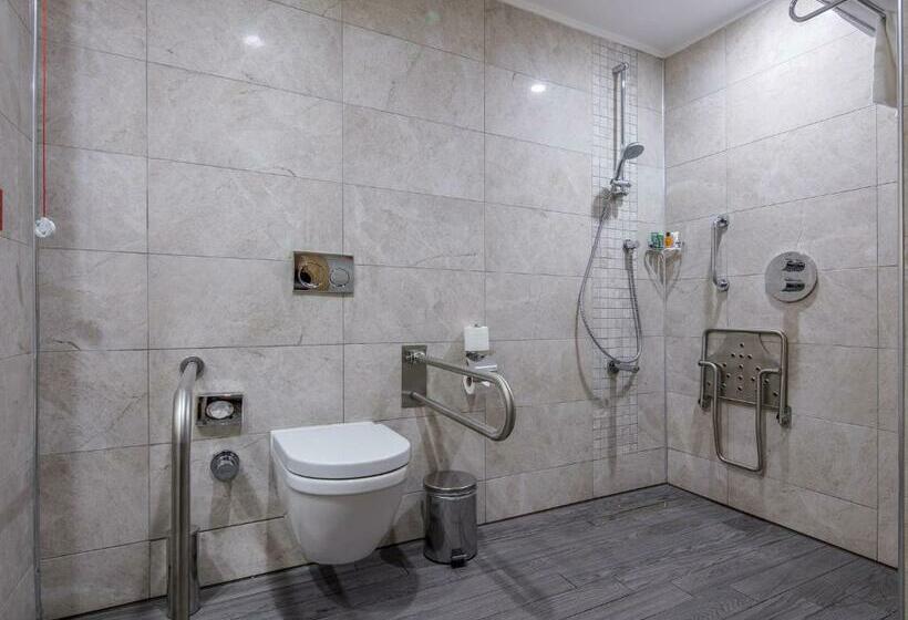 غرفة قياسية سرير كينج لذوى الإحتياجات الخاصة, Hilton Garden Inn Safranbolu