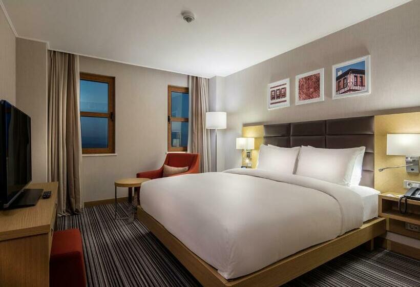 Стандартный Номер Кровать Кинг, Hilton Garden Inn Safranbolu