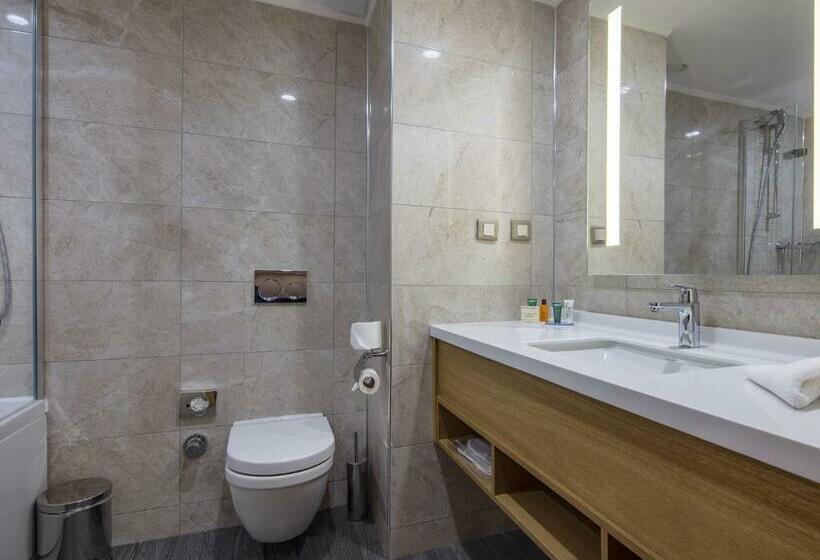 غرفة قياسية سرير كينج, Hilton Garden Inn Safranbolu