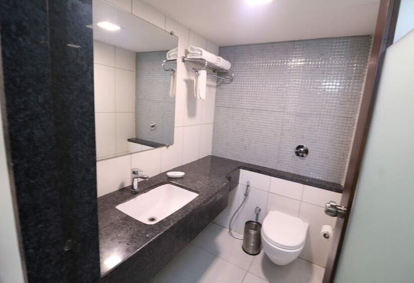 Классический Номер, Vits Shalimar Ankleshwar