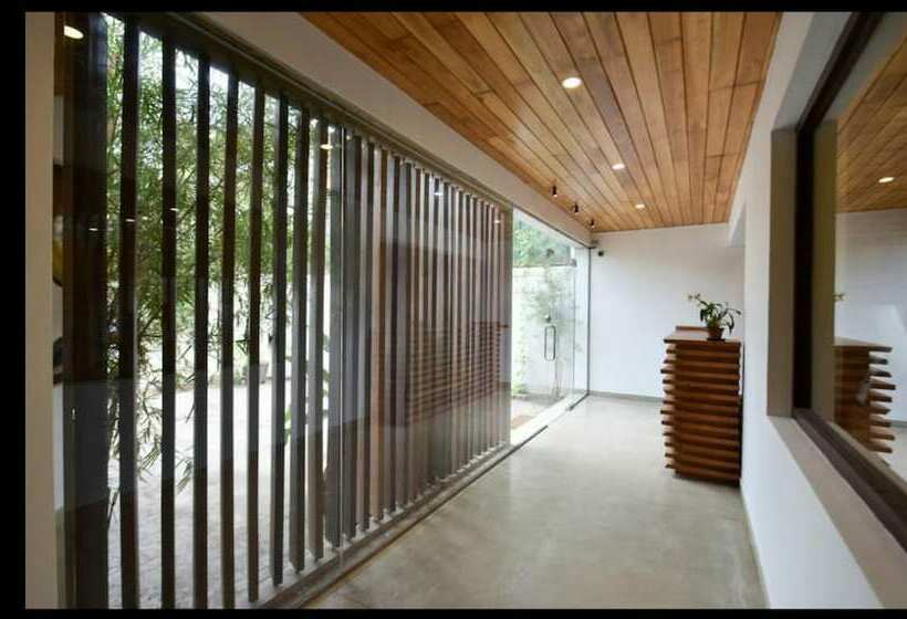 スタンダードルーム, Moss Colombo