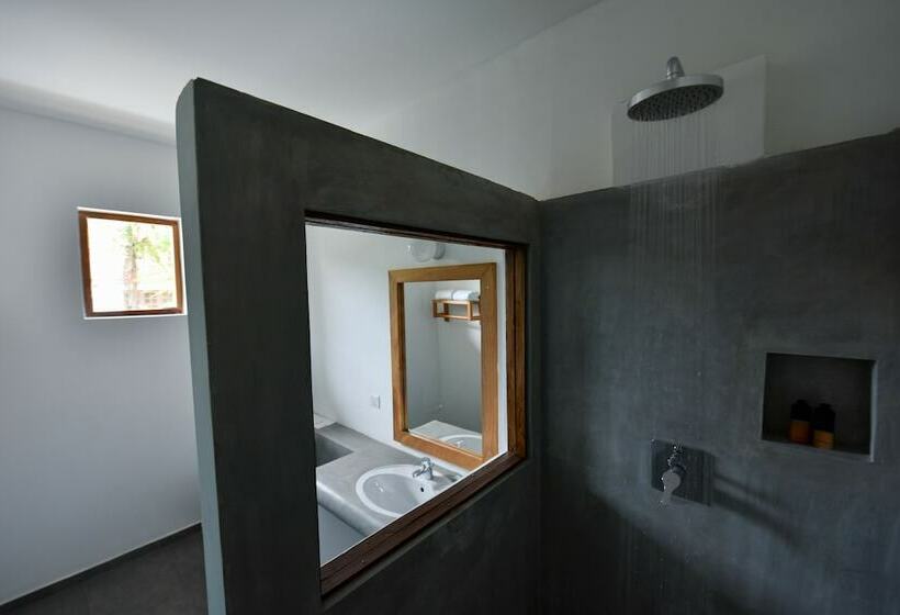 スタンダードルーム, Moss Colombo