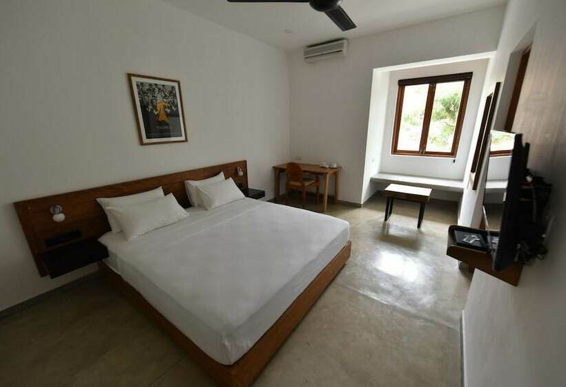 スタンダードルーム, Moss Colombo