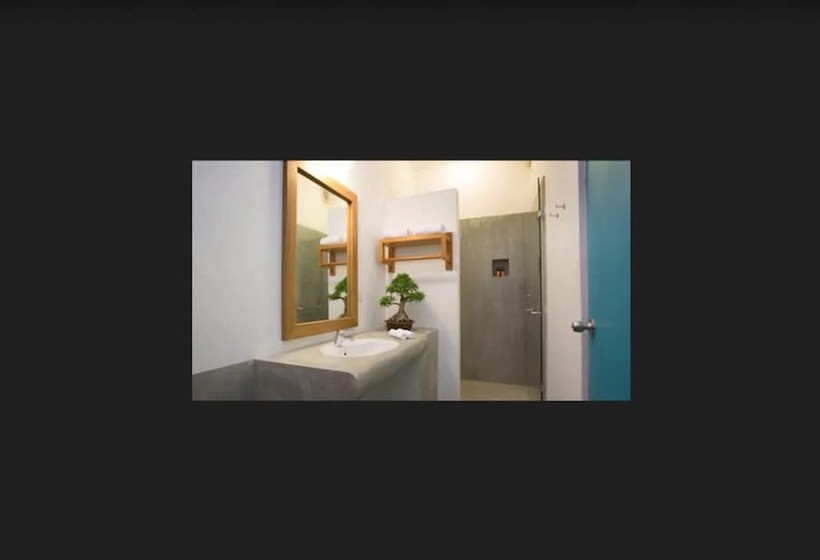 スタンダードルーム, Moss Colombo