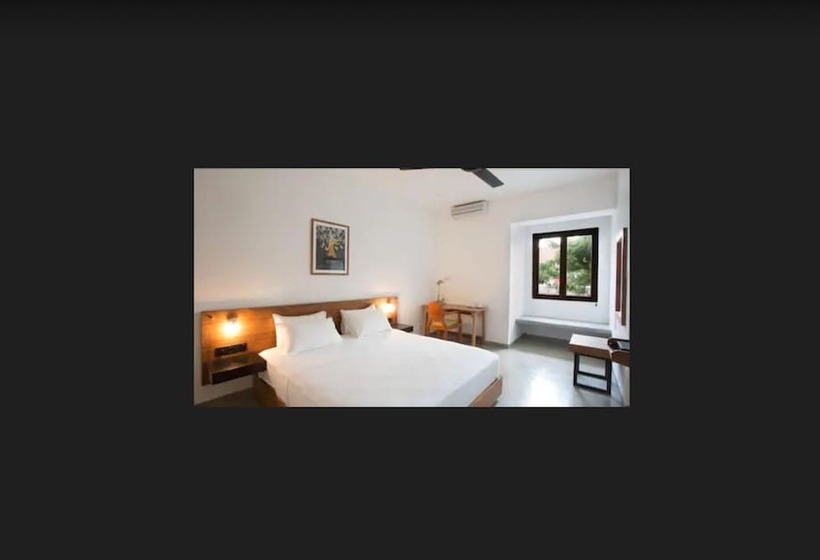 スタンダードルーム, Moss Colombo