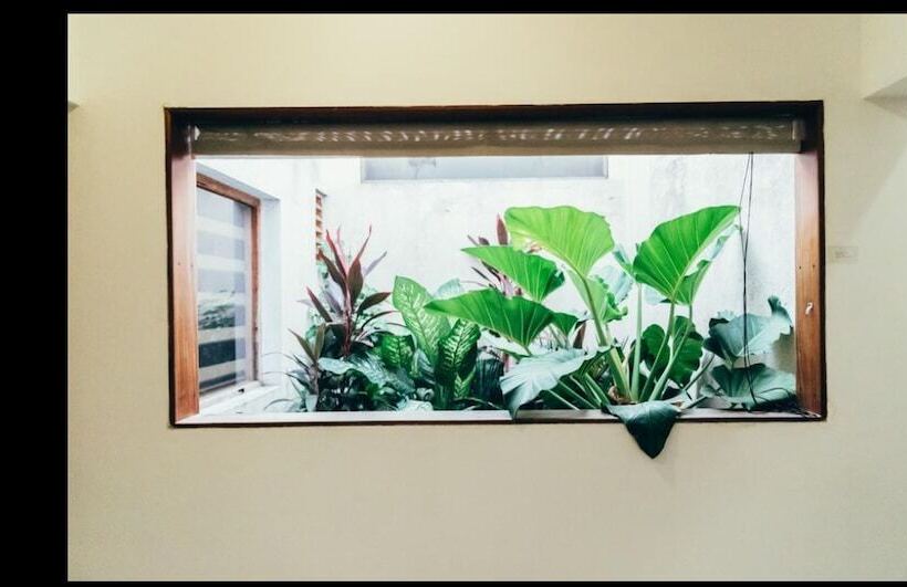 ルームシェアのワンベッド, Moss Colombo