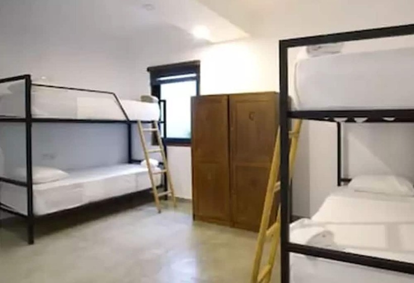 ルームシェアのワンベッド, Moss Colombo