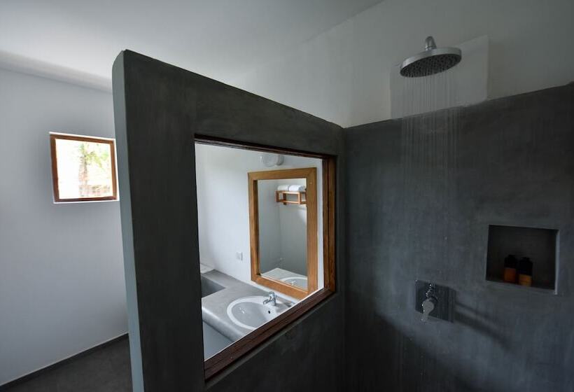 ルームシェアのワンベッド, Moss Colombo