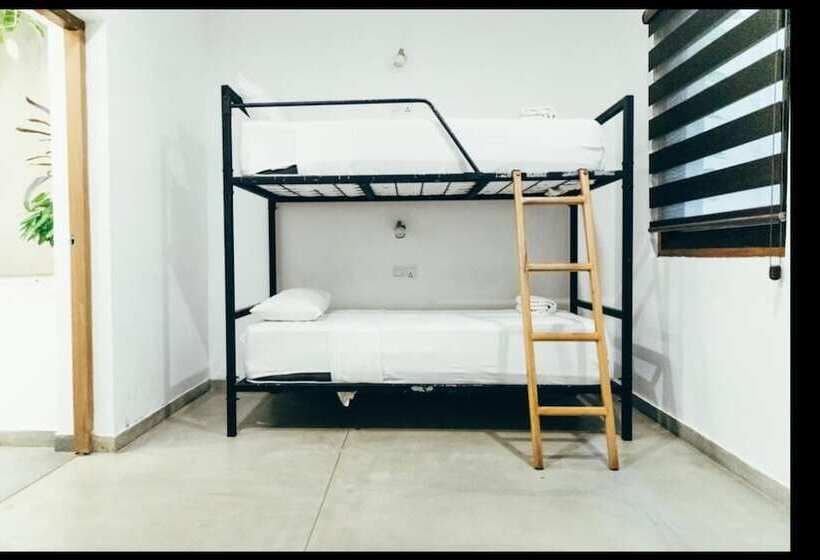 ルームシェアのワンベッド, Moss Colombo