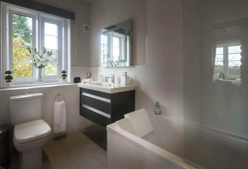 キングサイズベッドのデラックスルーム, Blaisdon House B&b