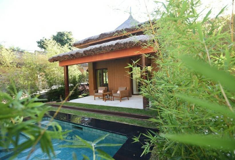 스탠다드 방갈로, Soul Spring Sanctuary