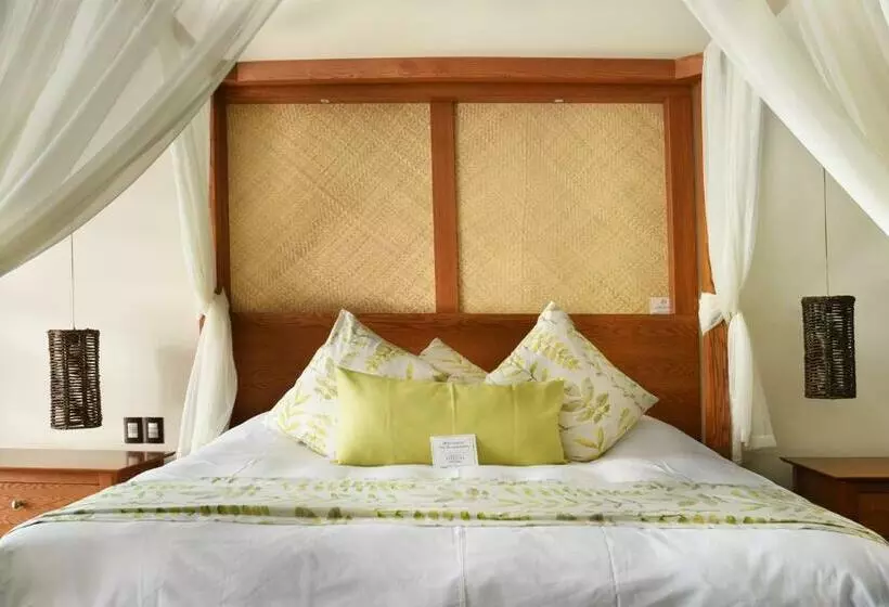 Standard Room King Size Bed, Soul Spring Sanctuary