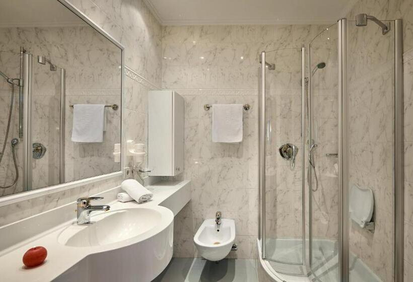 수피리어 싱글 룸, Dolomites Wellness Hotel Savoy