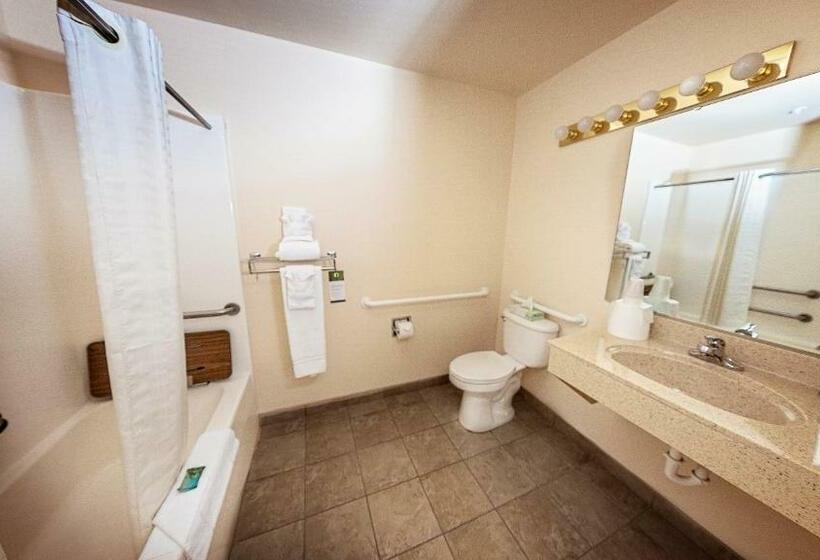 Номер Стандарт Кровать Кинг Адаптированный для Инвалидов, Fairbridge Inn Express Dillon