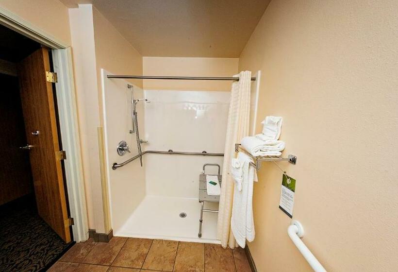 غرفة قياسية سرير كينج لذوى الإحتياجات الخاصة, Fairbridge Inn Express Dillon