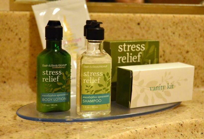 غرفة إدارية سرير كينج, Fairbridge Inn Express Dillon