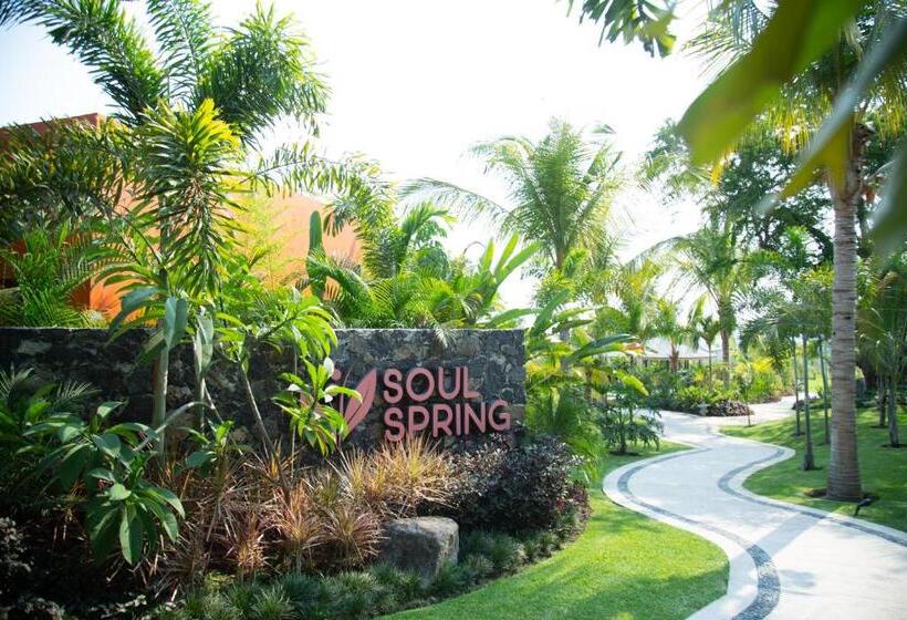 스탠다드 룸 킹사이즈 침대, Soul Spring Sanctuary