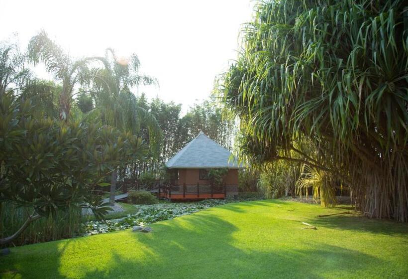 בקתה סטנדרטית, Soul Spring Sanctuary